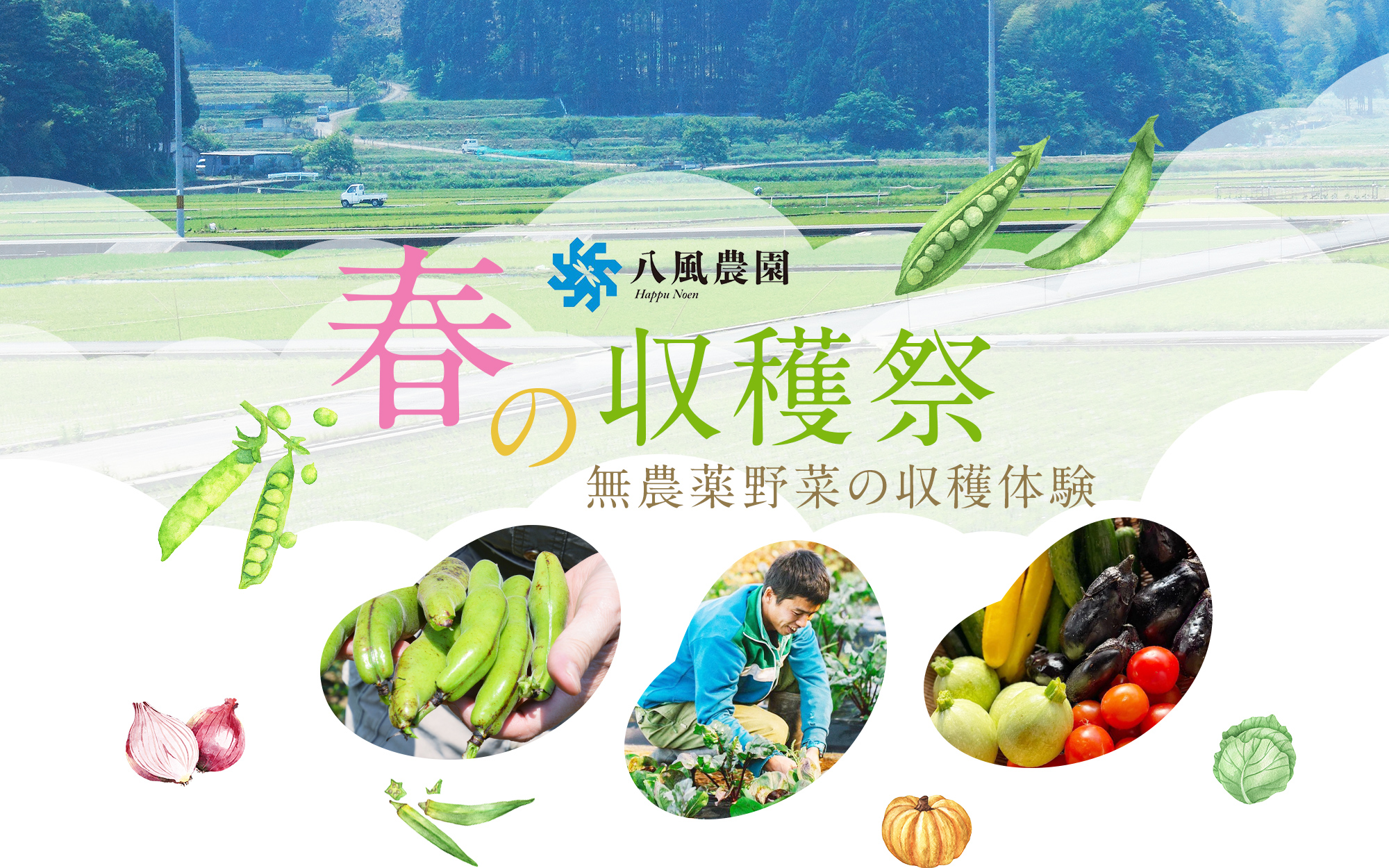 八風農園 春の収穫祭 無農薬野菜の収穫体験